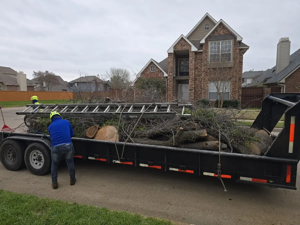 Expert Tree Removal with proper safety equipment in Rock Island